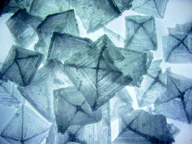 Image of crystals of salt